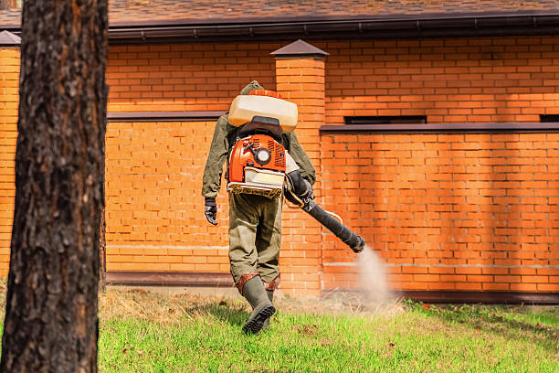 Trusted Termite Control service in Bayonet Point, FL - Nex Pest Control